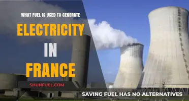 France's Electricity Generation: Nuclear Power Dominates Fuel Mix