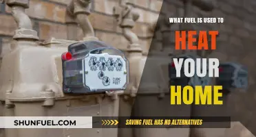 Exploring Home Heating Fuels: Options, Efficiency, and Cost Breakdown