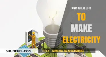 Powering the Grid: Exploring Fuels Used to Generate Electricity