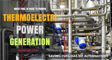 Thermoelectric Power Generation: Exploring the Fuel Sources That Drive It