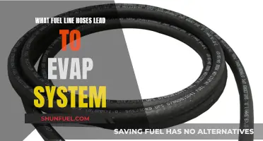 Fuel Line Hoses: Understanding Their Role in the EVAP System