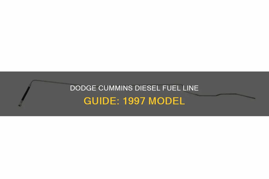 what fuel line to use for 1997 dodge cummins diesel