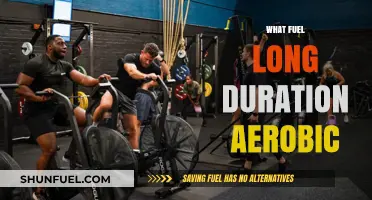 Sustaining Endurance: The Science Behind Long-Duration Aerobic Fuel Sources