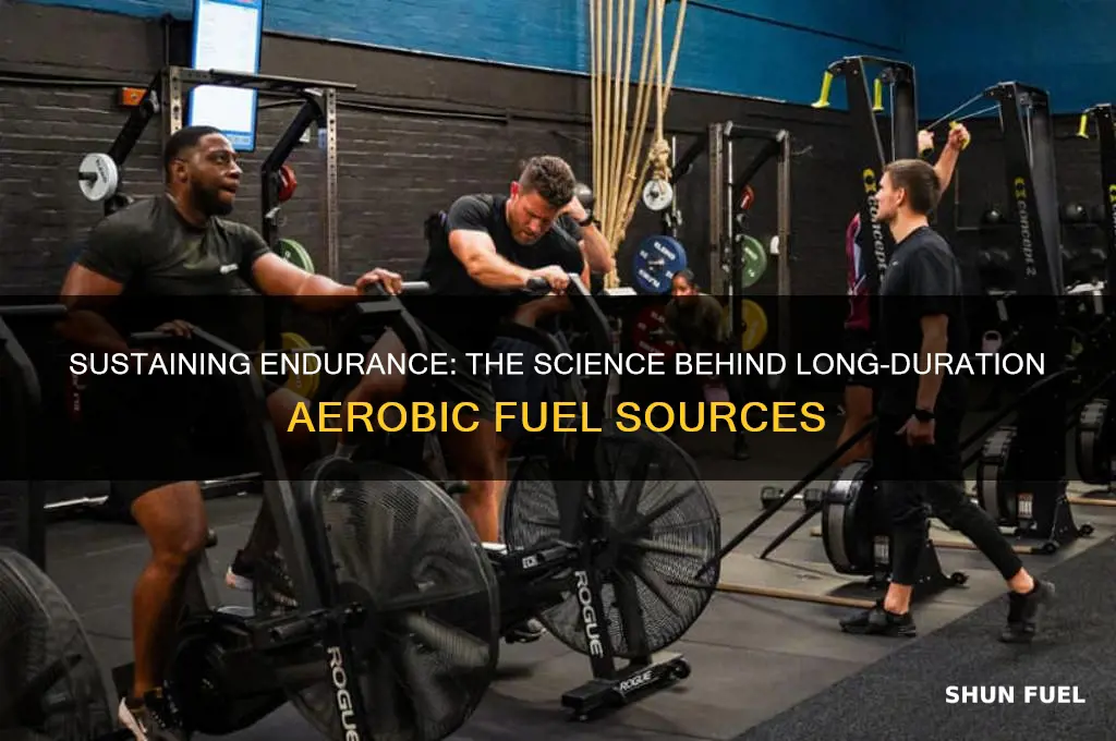 what fuel long duration aerobic