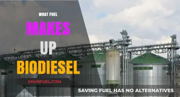Understanding Biodiesel: Key Ingredients and Sustainable Fuel Sources Explained