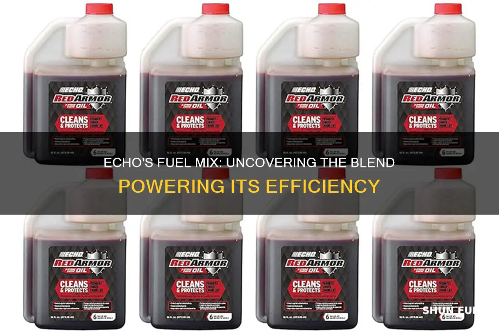 what fuel mix does echo use