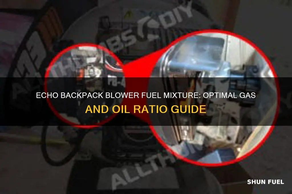 what fuel mixturedoes echo backpack blower use