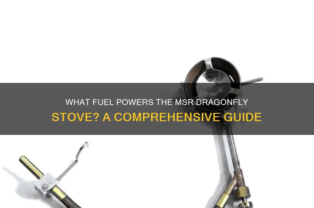 what fuel msr dragonfly