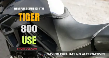 Tiger 800 Fuel Octane Requirements: What You Need to Know