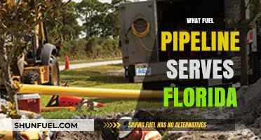 Florida's Fuel Lifeline: Exploring the Pipeline Network Powering the State