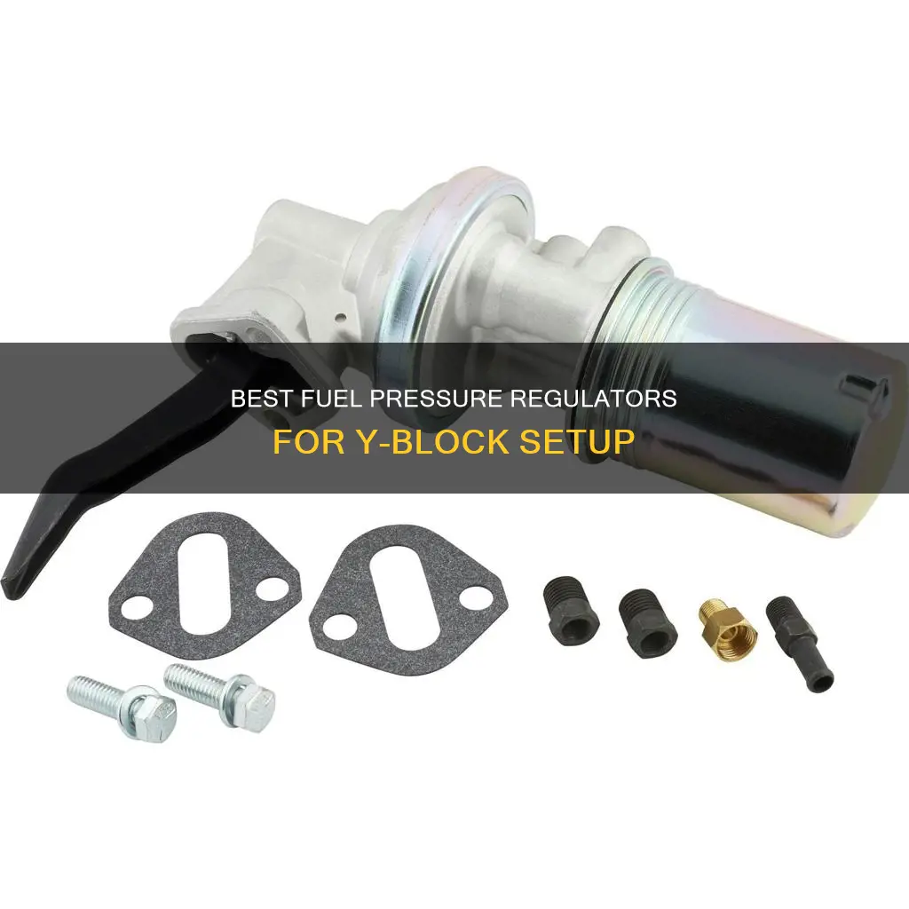 what fuel pressure regulator to use for y block setup