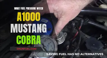 Mustang Cobra A1000: Fuel Pressure Secrets Revealed