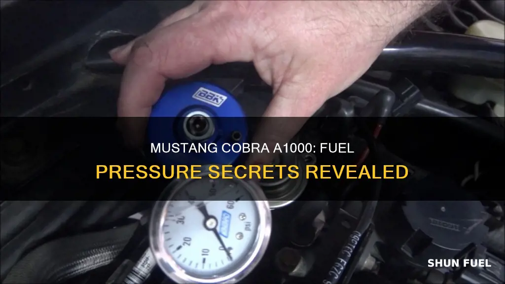 what fuel pressure witch a1000 mustang cobra