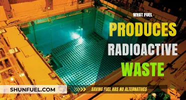 Nuclear Power's Dark Side: Which Fuel Generates Radioactive Waste?