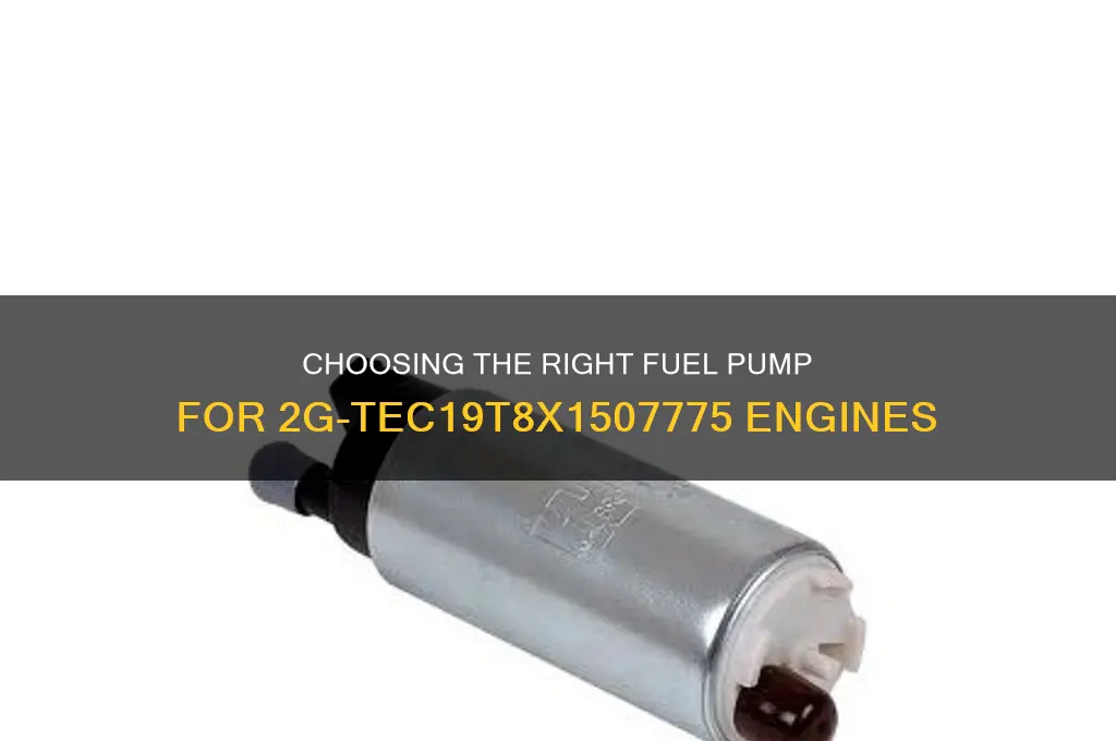what fuel pump do i need for 2gtec19t8x1507775