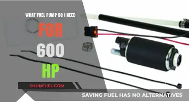 Choosing the Right Fuel Pump for 600 HP Engines