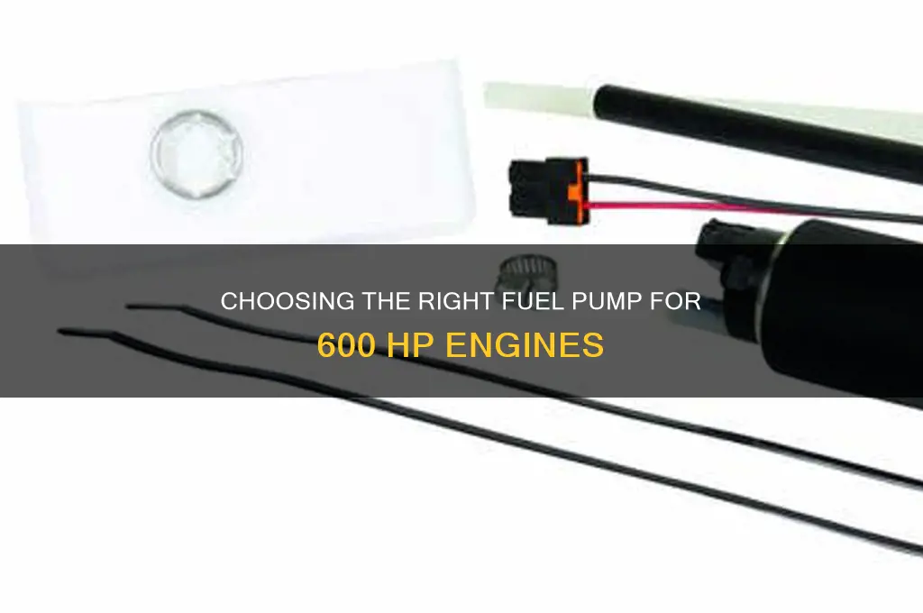 what fuel pump do i need for 600 hp