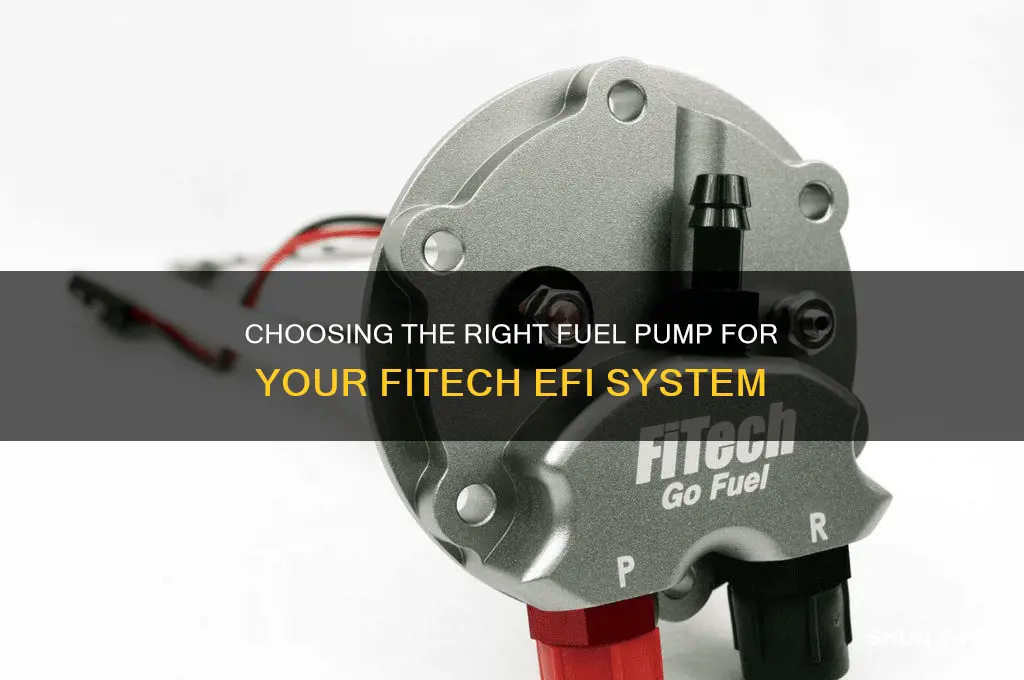 what fuel pump do i need for fitech