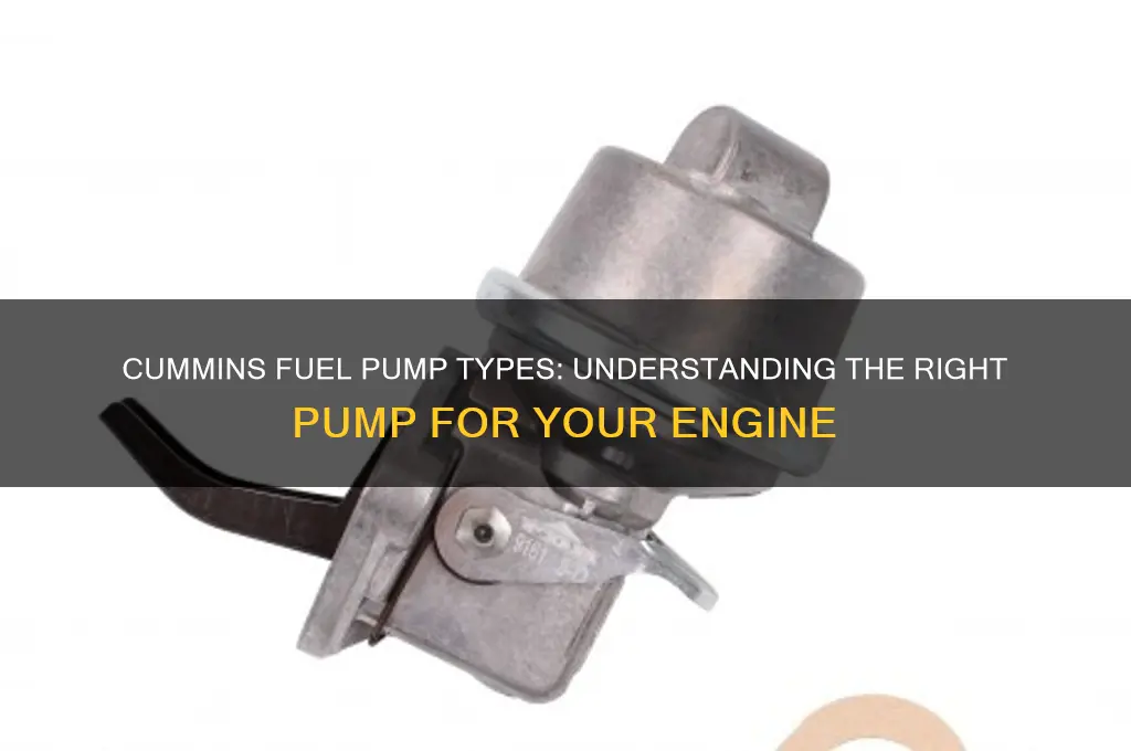 what fuel pump does a cummins have