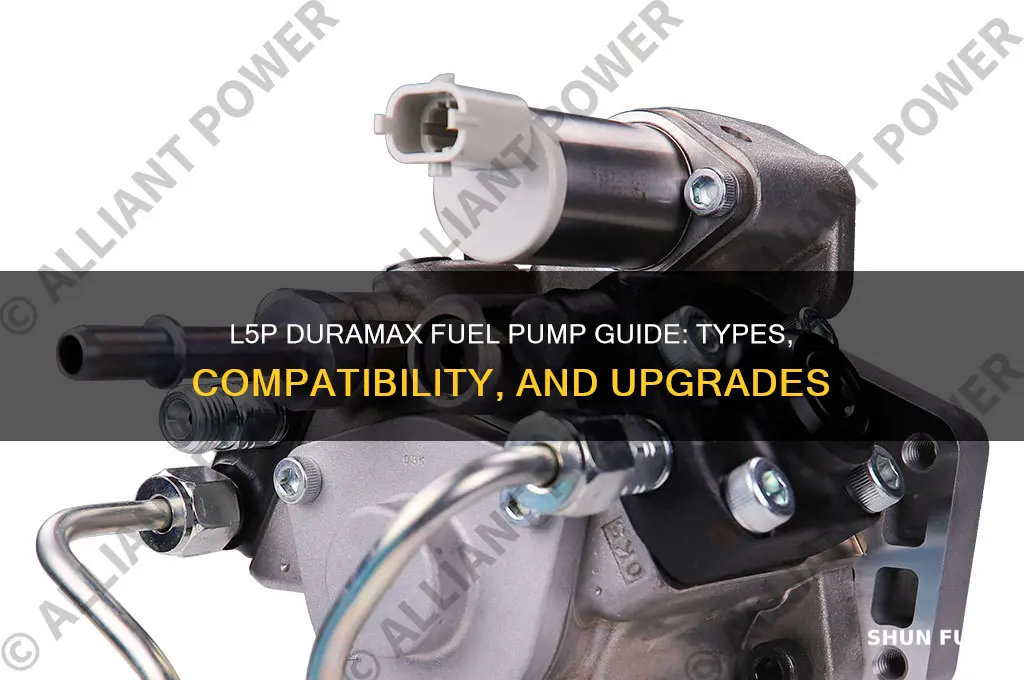 what fuel pump does a l5p