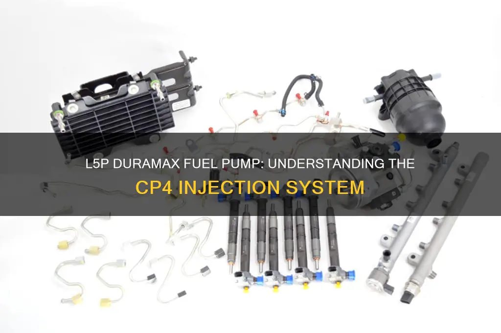 what fuel pump does l5p use