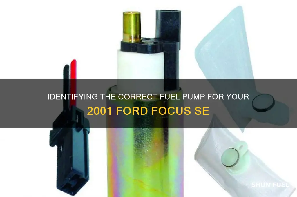 what fuel pump does my 2001 ford focus se have