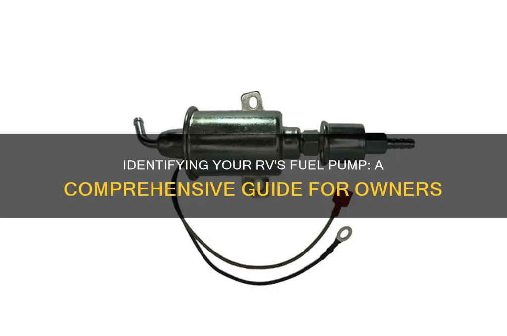 what fuel pump does my rv have
