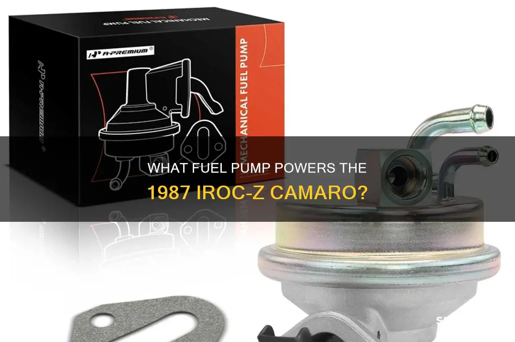 what fuel pump does the 87 iroc have in it