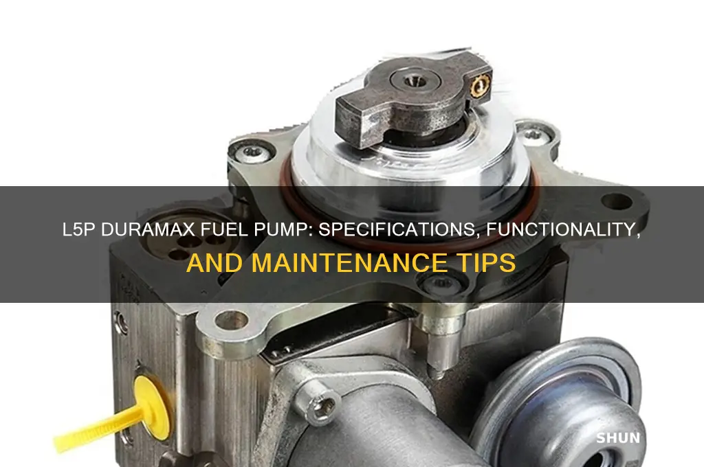 what fuel pump does the l5p have