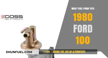 Finding the Right Fuel Pump for Your 1980 Ford F100