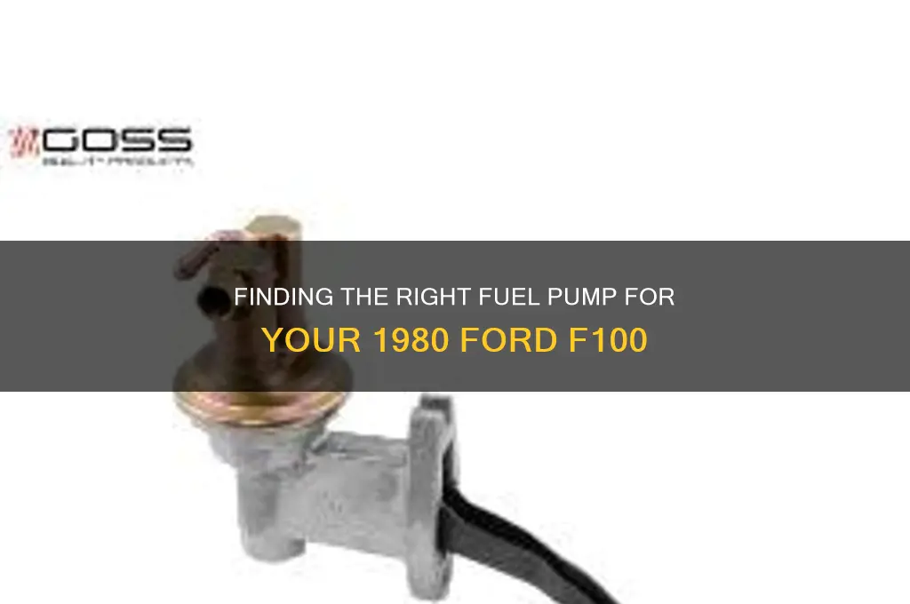 what fuel pump fits 1980 ford 100