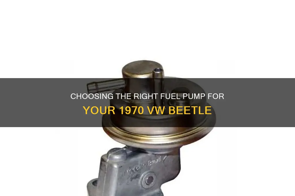 what fuel pump for 1970 vw