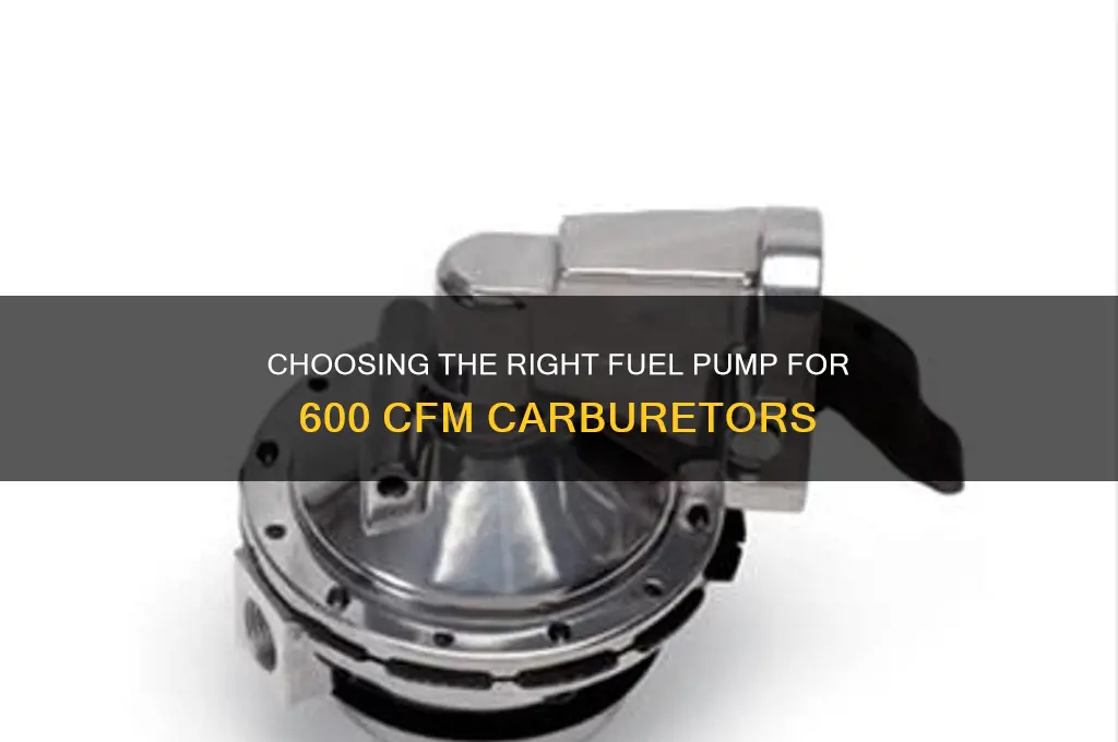 what fuel pump for 600 cfm