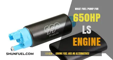 Choosing the Right Fuel Pump for a 650HP LS Engine Build