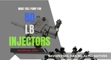 Fuel Pump Options for 80-Pound Injectors Explored
