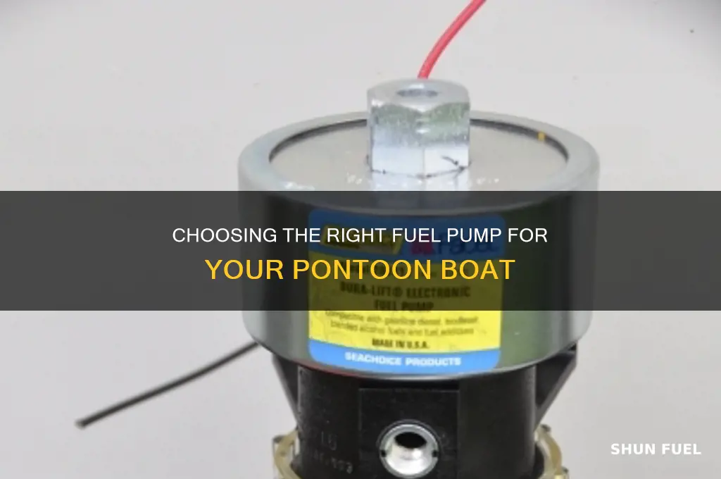 what fuel pump for a pontoon boat
