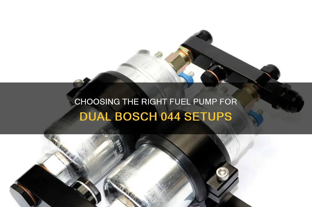 what fuel pump for dual bosch 044