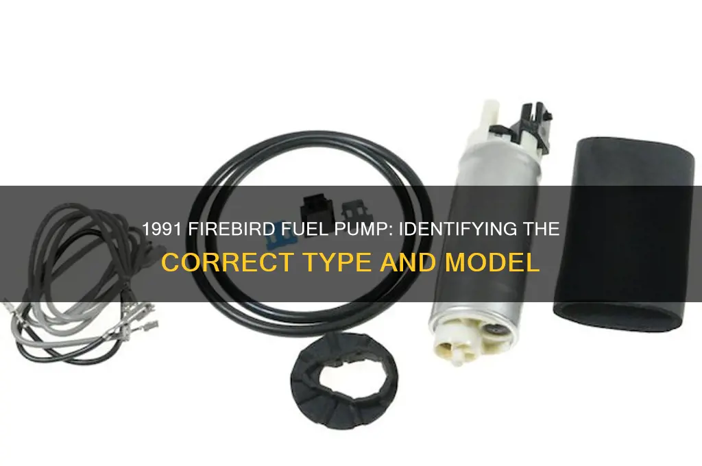 what fuel pump is in a 1991 firebird