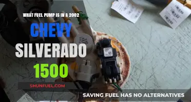 Chevy Silverado 1500 2002 Fuel Pump: Identification and Details