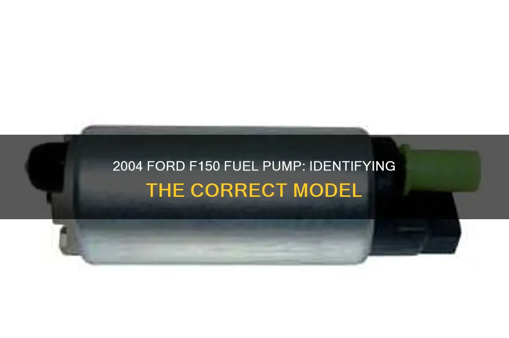 what fuel pump is in a f150 2004