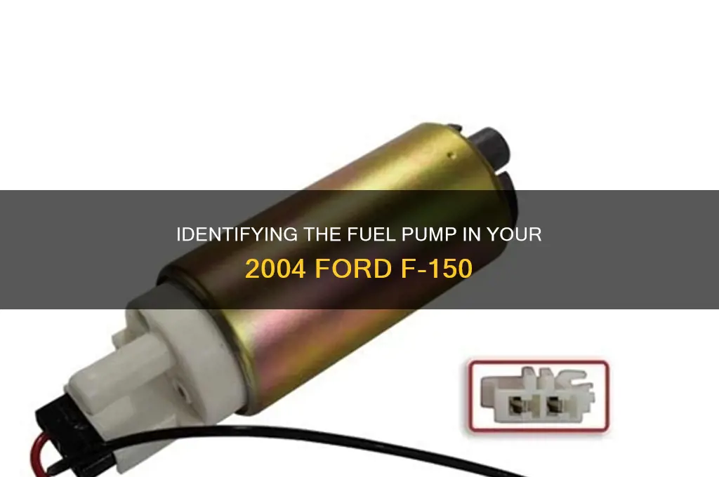 what fuel pump is in my 2004 f 150