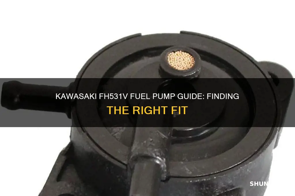 what fuel pump is on kawasaki fh531v