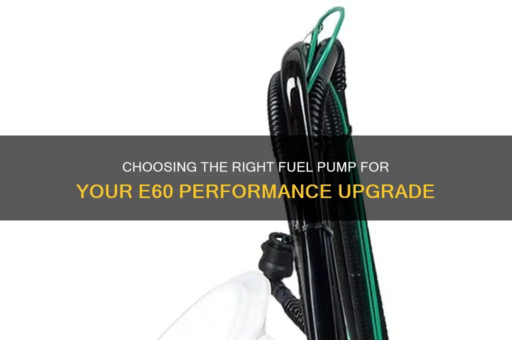 what fuel pump is required to run e60