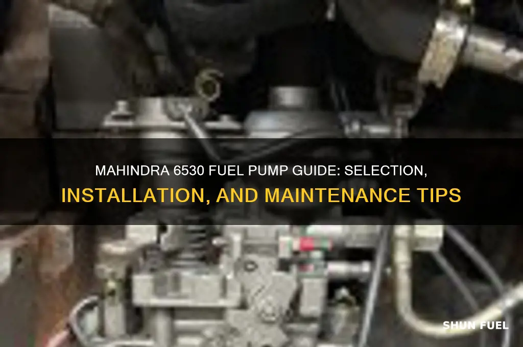 what fuel pump on mahindra 6530