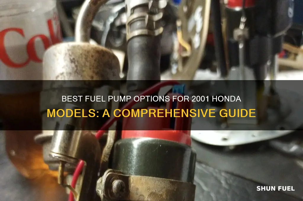 what fuel pump should i get for an 01 honda