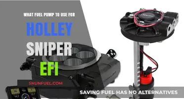 Choosing the Right Fuel Pump for Holley Sniper EFI Systems