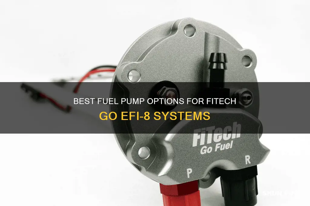 what fuel pump to use with fitech go efi-8