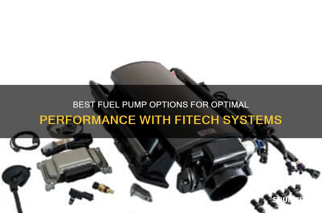 what fuel pump to use with fitech