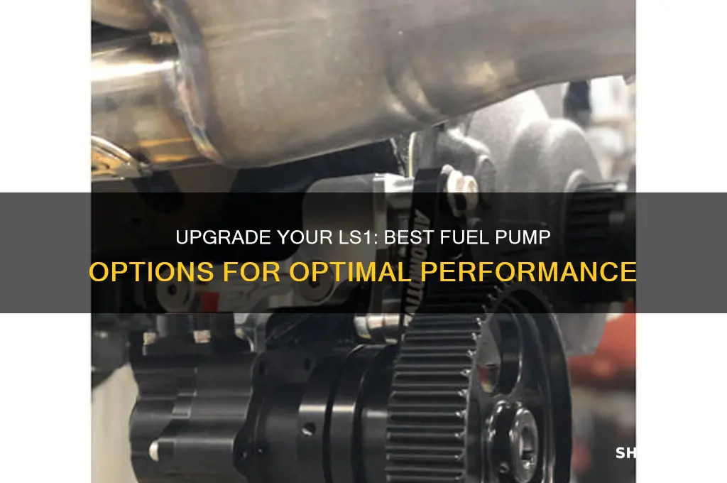 what fuel pump upgrade for ls1