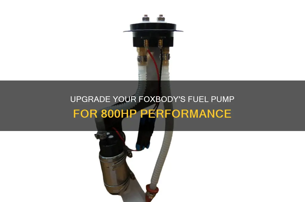 what fuel pump upgrade to support 800hp foxbody